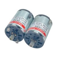 [2 Pcs] MAXON M070656 Minimotor 713579